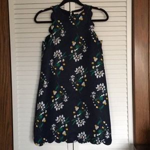 Endless Rose scallop trim floral shift dress